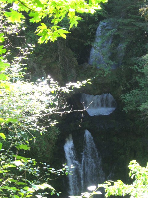 Paradise Creek-104.JPG - Curly Falls